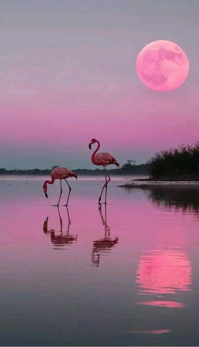 La Passiflore Vergeze Bagian luar foto